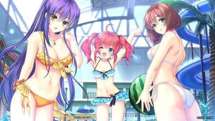 風雷戦姫 神夢 普及版 ※取り寄せ商品