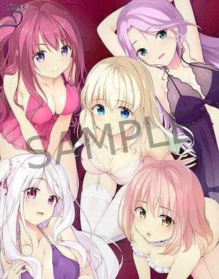 HaremKingdom フルHDリマスター 豪華限定版 オリジナルプラスチックカード(2枚)付