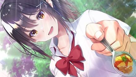 キミと恋するハッピーサマー 抱き枕カバー同梱版