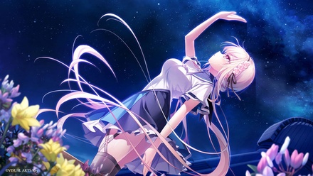 【WIN一般(E15)】 anemoi 初回限定版 オリジナルプラスチックカード付