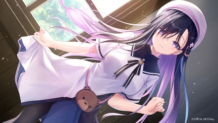 【WIN一般】 anemoi 初回限定版