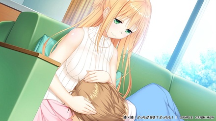 姉×姉!どっちが好き?どっちも!! ～優しいお姉ちゃんとクールなお姉ちゃんに挟まれて僕はもうっ!!～ ※取り寄せ商品