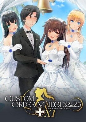 カスタムオーダーメイド3D2＆2.5＋ X1 X1改Wパック ※取り寄せ商品