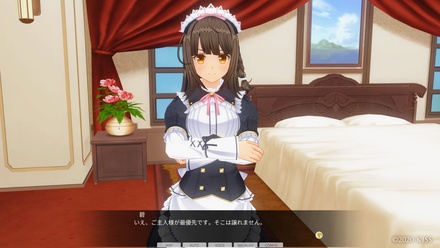 カスタムオーダーメイド3D2＆2.5 キャラクターパック 高飛車で生意気なお嬢様＆甘々デレデレでご主人様を信仰している妹系幼馴染パック ※取り寄せ商品