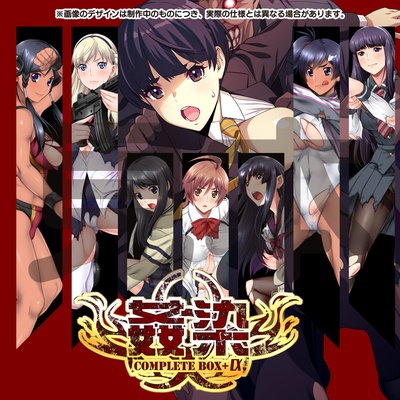 姦染 COMPLETE BOX＋α ～Record of 1st to RE:UNION～ 痛DVDドライブ付き限定版