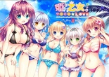 姫と乙女のヤキモチＬＯＶＥ -きらめき夏物語！- 普及版 ※取り寄せ商品