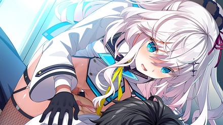 ディメンション凸ラバース!! 通常版