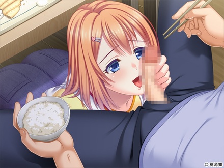 巨乳食堂孕み定食 ～俺だけの裏メニュー！？～ 【PCゲームアウトレット】 ※取り寄せ商品