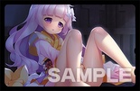 真・恋姫†英雄譚外伝 白月の灯火 豪華限定版 オリジナルテレカ・予約特典付