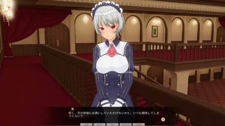 カスタムオーダーメイド3D2 キャラクターパック 大人の余裕を持つ、頼れるメイド秘書 ※取り寄せ商品