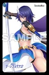 魔法騎士リーンフォリア１＋２ オリジナルプラスチックカード付