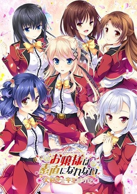 ensemble anniversary お嬢様シリーズ10本セット ※取り寄せ商品