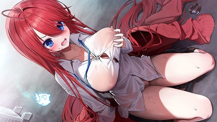 神様ちゅ～ず！ センセー女の子似合ってるよっ！ 通常パッケージ版