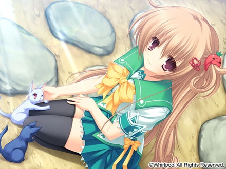 渦巻コレクションパック -水鏡まみず Edition- 通常版 ※取寄せ商品