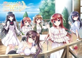 ensemble anniversary お嬢様シリーズ10本セット ※取り寄せ商品