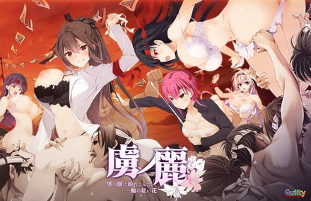 虜ノ麗 ～男の園に紛れこんだ一輪の紅い花～ if エロパッチ対応豪華版 ※取り寄せ商品