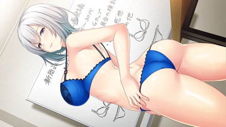 淫行業務レポート ～私が就職した企業は、エッチなオシゴトがある会社だった件～ デラックス版 ※取り寄せ商品