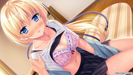 【初回特典付き】 サクラノモリ†ドリーマーズ2 普及版