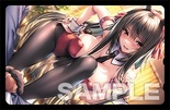 アマカノ２＋ オリジナルテレカ付