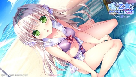姫と乙女のヤキモチＬＯＶＥ -きらめき夏物語！- 普及版 ※取り寄せ商品
