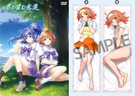 君が望む永遠 ～Enhanced Edition R～　初回生産豪華版（涼宮茜Ver.） 予約特典付