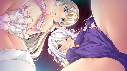 HaremKingdom フルHDリマスター 豪華限定版 オリジナルプラスチックカード(2枚)付