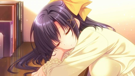 SHUFFLE!エピソード2 ～神にも悪魔にも狙われている男～ 豪華限定版 ※取り寄せ商品