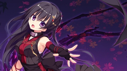 【WIN一般】 Ninja Girl and the Mysterious Army of Urban Legend Monsters! Hunt of the Headless ※取り寄せ商品  