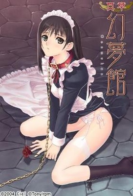 Tony Illustration Games compatible with WIN11 復刻フォルトSA抱き枕カバー付き限定版 オリジナルプラスチックカード付