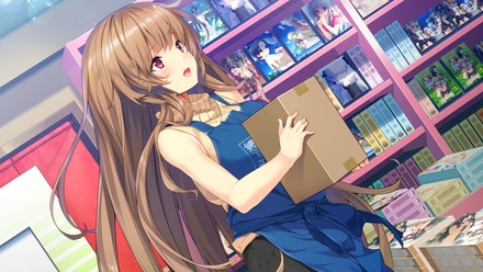響野さん家はエロゲ屋さん！ 普及版 ※取り寄せ商品