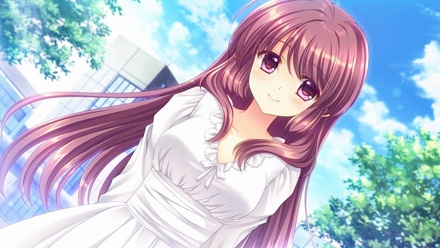 SHUFFLE!エピソード2 ～神にも悪魔にも狙われている男～ 豪華限定版 ※取り寄せ商品