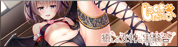 妹(姉)は兄(弟)の性癖を歪ませたい！ 抱き枕カバー付き限定版 オリジナルプラスチックカード・予約特典付